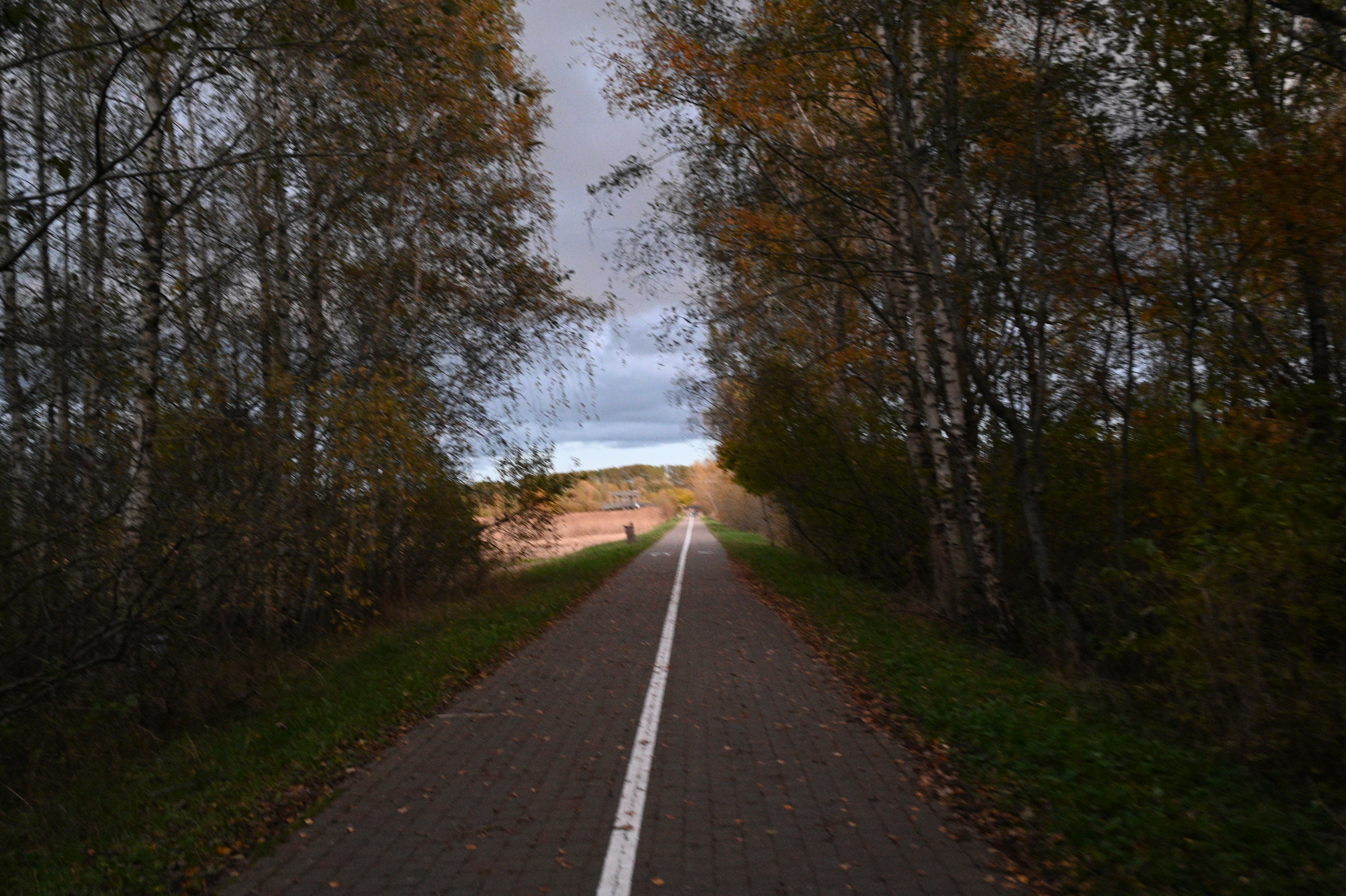 2025/10/18 - walk/DSC_0595.JPG